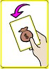 특수 카드 약탈 카드